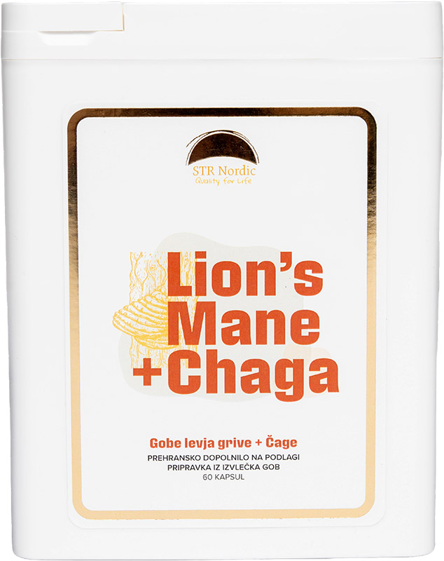 Lion's Mane + Chaga